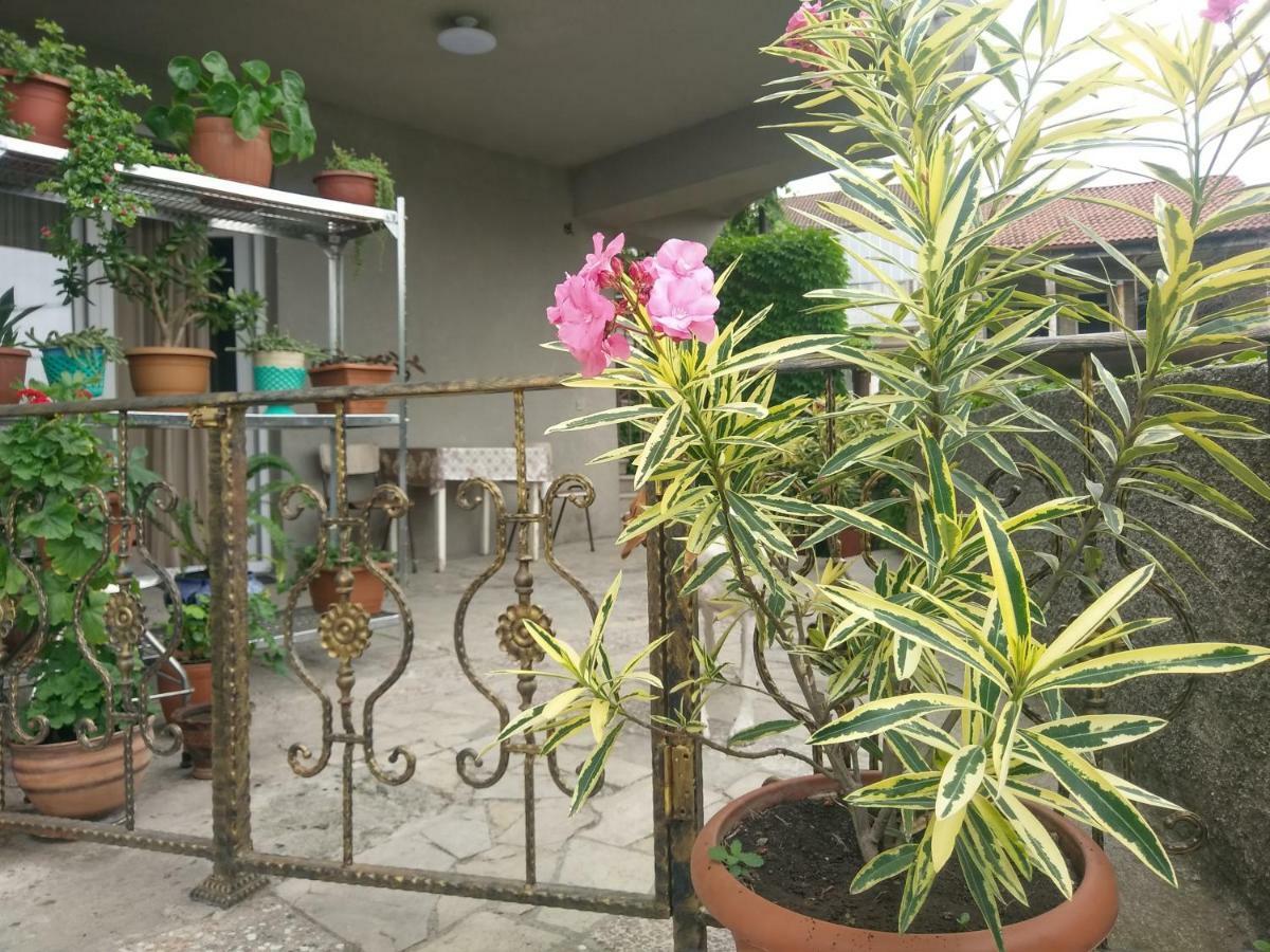 Guest House Vista Sighnaghi Zewnętrze zdjęcie